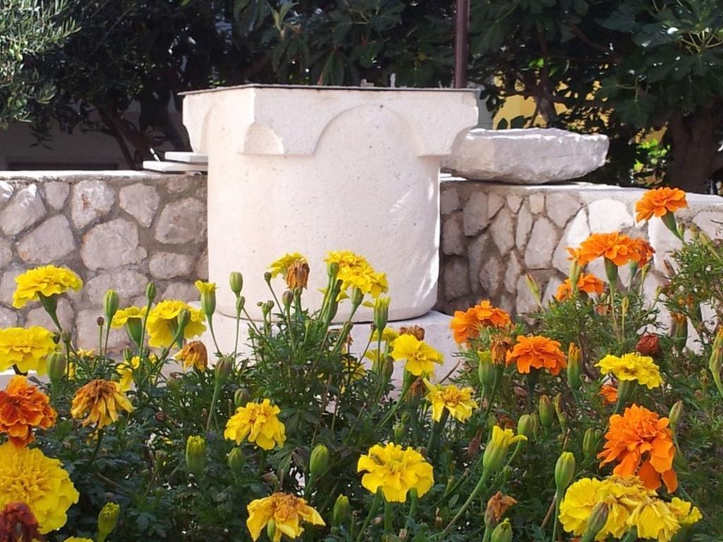 Apartments Franjo Mali Lošinj Kültér fotó